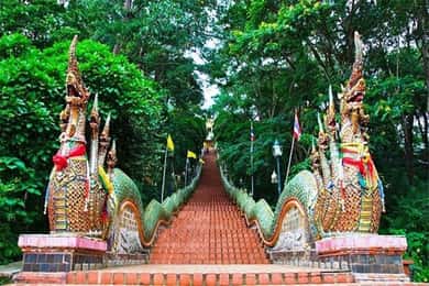 Half Day Morning Doi Suthep & Doi PUI MEO Village with Guide