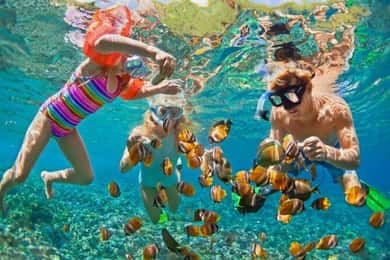 Da Nang: Dagstur med båt til Cham Island med snorkling og lunsj