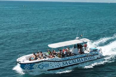 Mallorca Marine reserve: Visit caves, cliffs and snorkeling