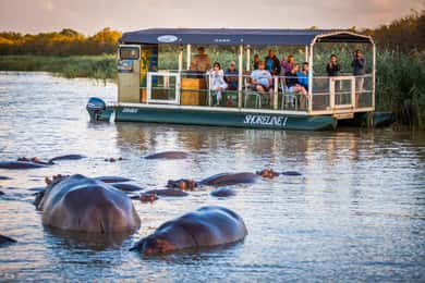 セントルシア発：3日間2泊 Hluhluwe、セントルシア、iSimangaliso