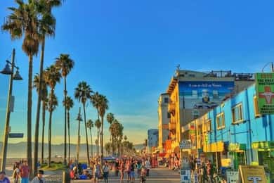 Los Angeles : Atrações imperdíveis Tour de carro com um guia de turismo