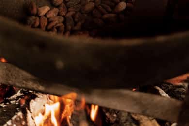 PV & Cahuita: Chocolate Tour Bri Bri Village & Waterfalltour