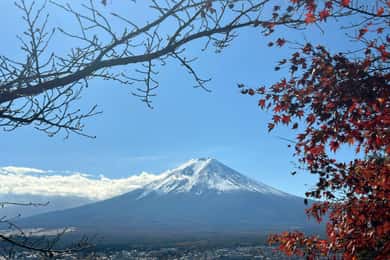 Tokio: Třídenní okružní jízda s obědem po památkách