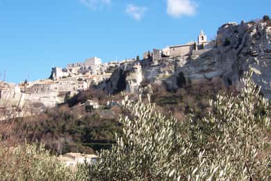 Avignon: Pont du Gard, Saint Remy og Les Baux halvdagstur