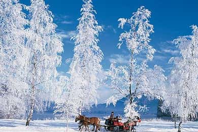 From Salzburg: Romantic Sleigh Ride through the Countryside