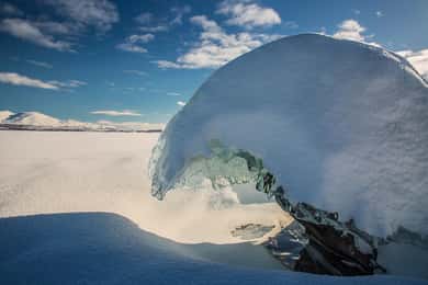 Kiruna: Daytime Snowshoe Hike