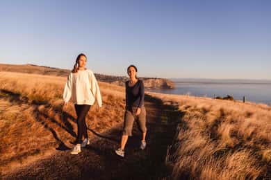Christchurch: Godley Head & Lyttelton Guided Walking Tour