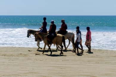 -Acapulco: Horseback Ride Exp. Crocodile Farm, and City Tour