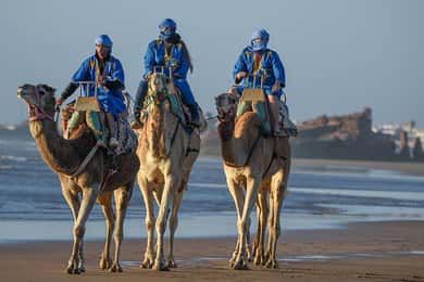 Essaouira: paseo en camello de 2 horas