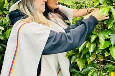 Medellín Coffee Farm Tour with Trolley and Cable Car Ride
