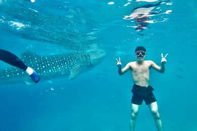 Oslob Whale Shark Direct