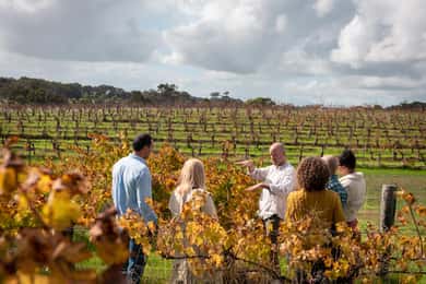 Margaret River Full-Day Wine, Local Produce & Nature Tour