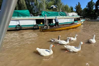 Unique Tigre and Delta Private Day Cruise Navegation