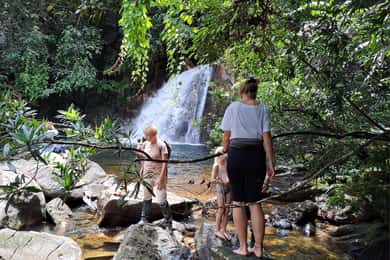 Sinharaja Rainforest Tour