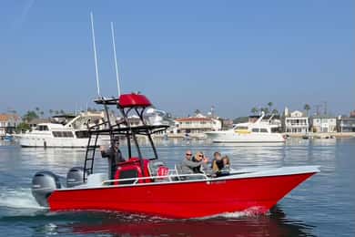 Superior 2 timmar privat val- och delfinskådning Newport Beach