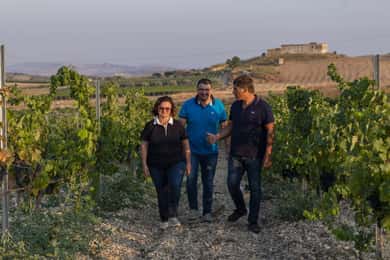 Tasting of EVO Wines and Oil in the countryside of Agrigento