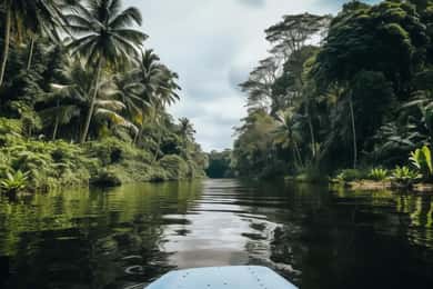 Puerto Limón: Tortuguero Canals båttur och Maratopia Garden Tour
