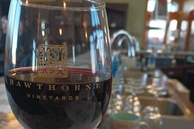NON BUS VIP Red Wine Lovers Old Mission Traverse Wine Tour