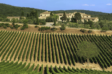 From Florence: Chianti, Montalcino & Montepulciano - Minivan