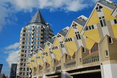 Amsterdam: wycieczka 1-dniowa do Rotterdamu z lokalnym przewodnikiem