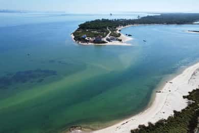 Setúbal: Tróia and Roman Ruins Boat Tour with Guide