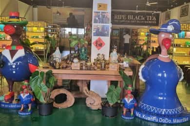 Mauritius: Privata dagsutflykter i norr