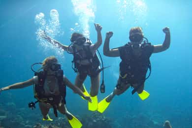 Nyd 3 sjove dyk i Kota Kinabalu | Certificerede dykkere