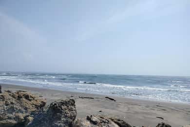 Барранкилья: река Магдалена и тур по Бокас-де-Сенизас