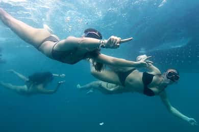 Cebu: Valhajar, Ka-Treasure-vattenterrasser och Simala-tur