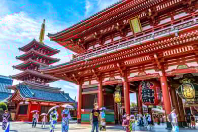 Tokyo Morning Tour: Meiji Shrine, Asakusa & Fish Market