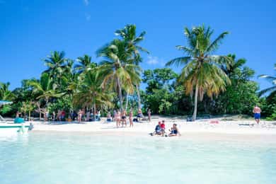 Punta Cana : Saona Island VIP 4 first-class beach and sunset