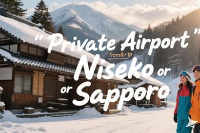 Aeropuerto de New Chitose: traslado privado desde/hacia Niseko/Sapporo