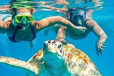 Riviera Maya: zwemmen met schildpadden, cenote en Mexicaanse lunch.