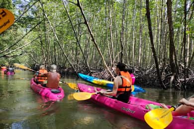 Krabi: Halvdags kajakkopplevelse i Ao Thalane
