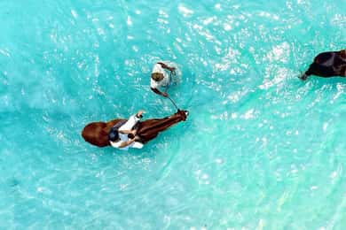 Mauritius: Ridning på stranden