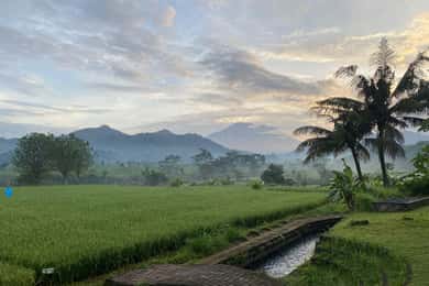 Sidemen: Rice Terraces and Hidden Waterfall