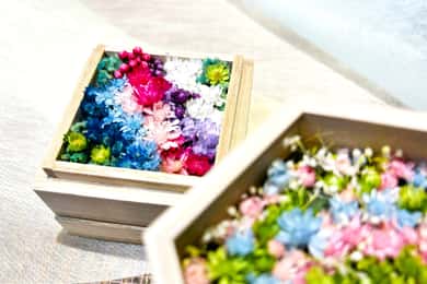 Experimenta la creación de un minijardín japonés adornado con flores