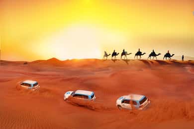 Dubai: Desert Safari, Camel, Quad Ride & Mesmerizing Shows