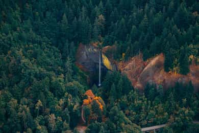 Portland: Multnomah Falls Scenic Flight Tour