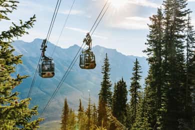 Banff: In-Depth Banff Area & Canyon Day Tour
