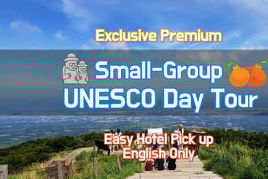 Jeju Premium Small Group UNESCO Day Tour - South