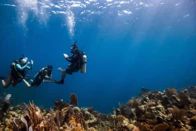 UPPTÄCK DYKNING I LEMORNE med EasydiveMauritius