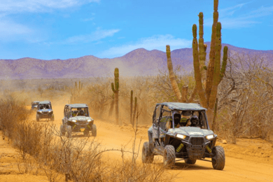 Cabo San Lucas: UTV Off-Road Adventure