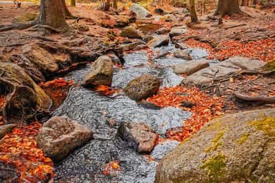 Hike in Polish Mountains: Day trip to Rudawy Janowickie