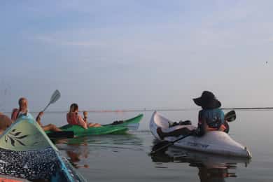 Holbox: Kajaktocht met gids bij zonsopgang/ondergang in het Mangrove Reservaat