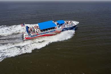 Myrtle Beach: Delfinkryssning med Sea Thunder
