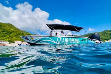 Martinique: journée complète en bateau : Dauphins et tortues
