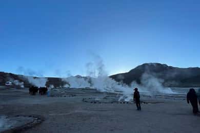 Memorable Tatio Geysers Tour with Flamingos and Scenic Views