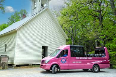 Pigeon Forge: tour di Cades Cove in un furgone rosa Panorama