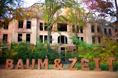 Beelitz-Heilstätten: Baum&Zeit Tree Top Walk Entry Ticket